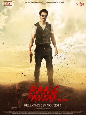Rang Panjab (2018) Punjabi Movie [1GB] HD Poster Download - Filmyzilla