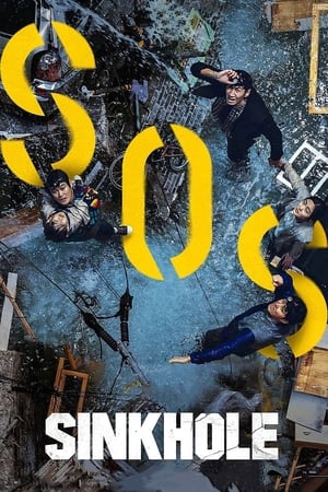 Sinkhole (2021) Hindi Dual Audio – 720p – HD Poster Download - Filmyzilla