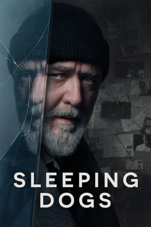 Sleeping Dogs (2024) Hindi Dual Audio – 720p – HD Poster Download - Filmyzilla